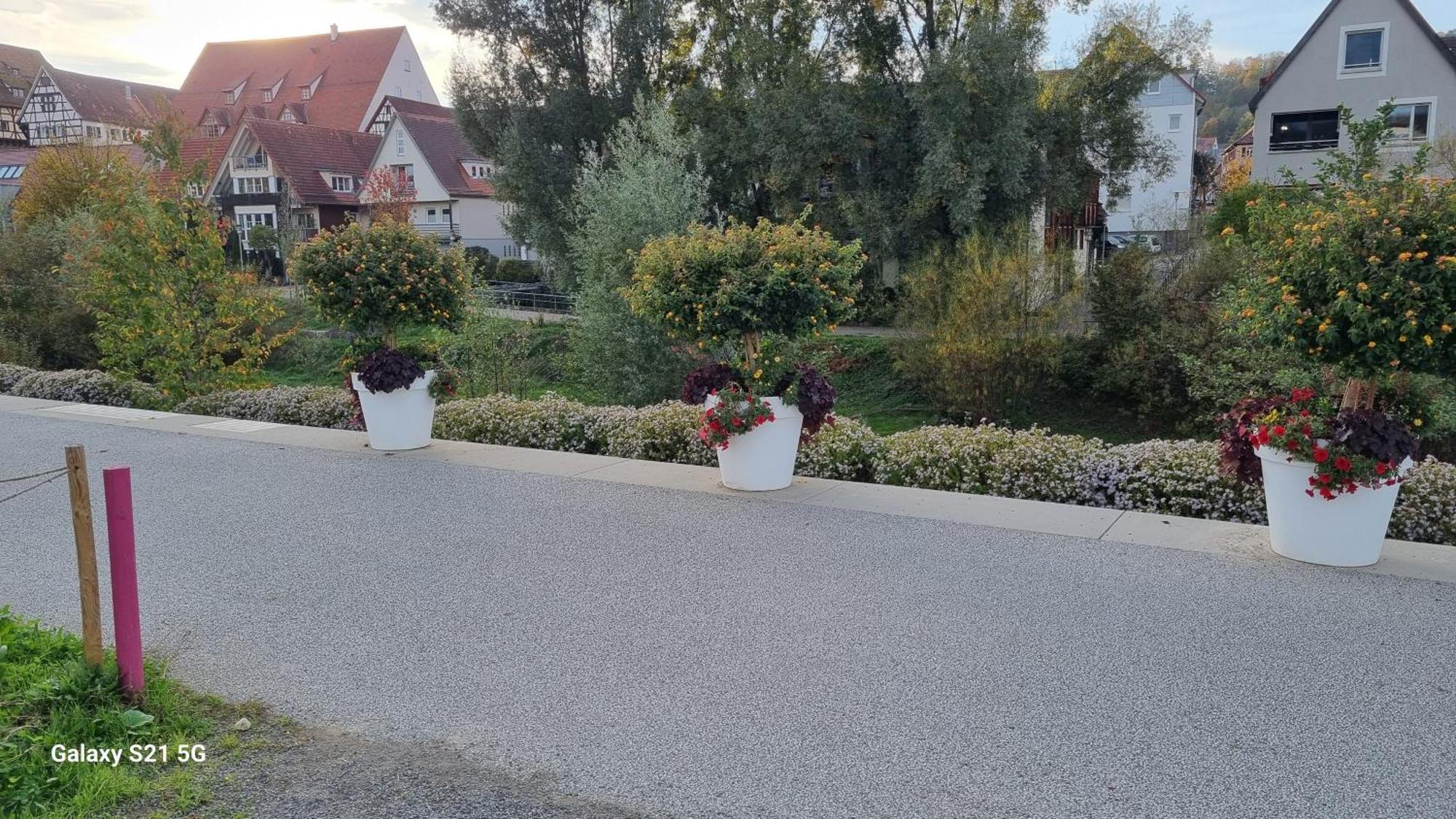 Ferienwohnung Elefanten Balingen Εξωτερικό φωτογραφία